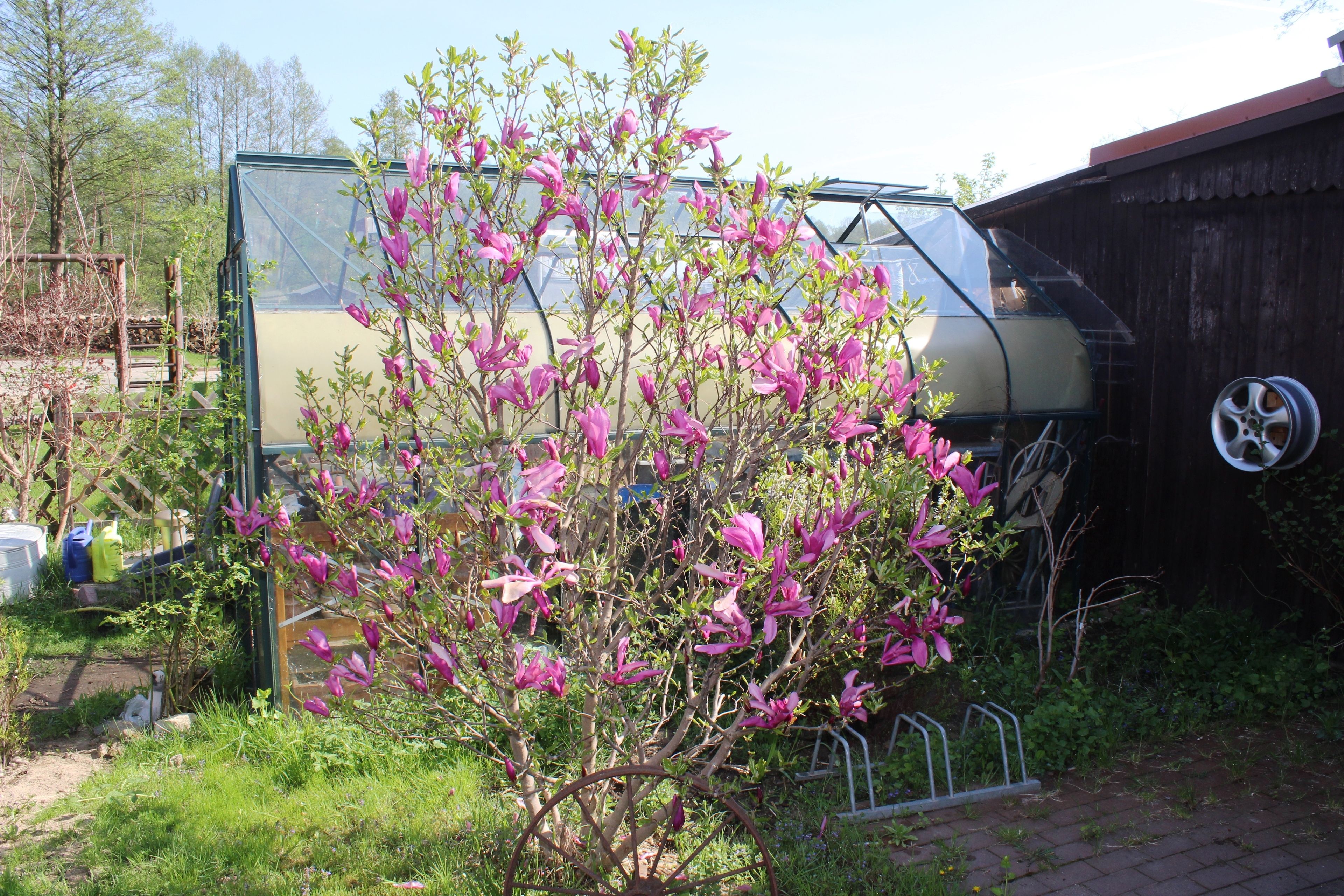Pension Spreewaldhof Leipe