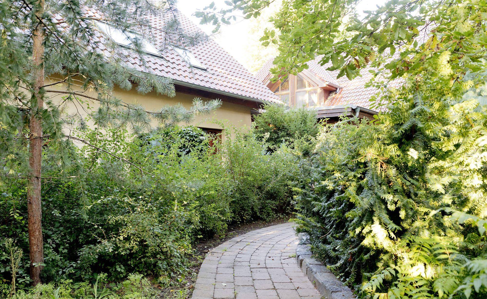 Am Katharinenholz