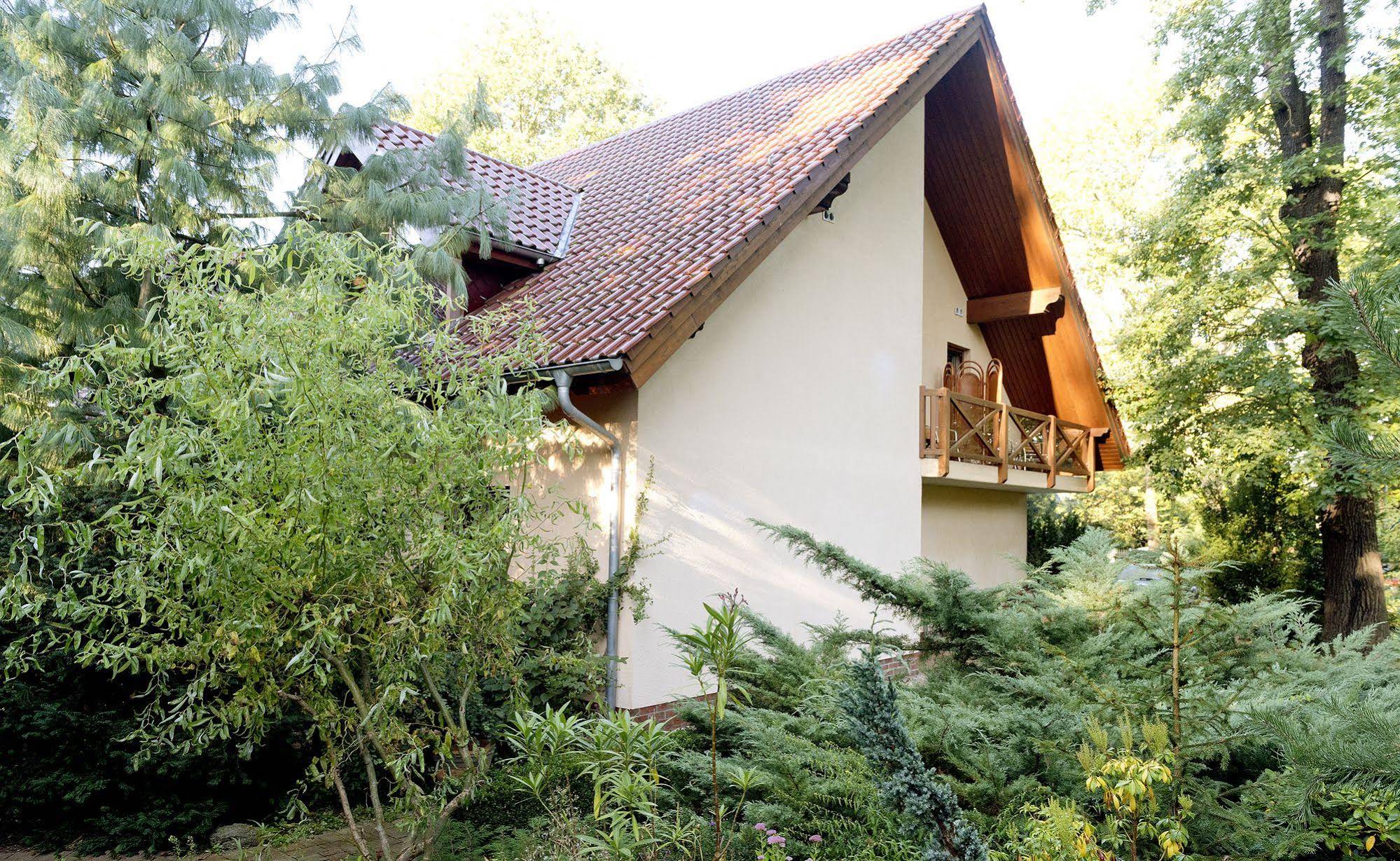 Am Katharinenholz