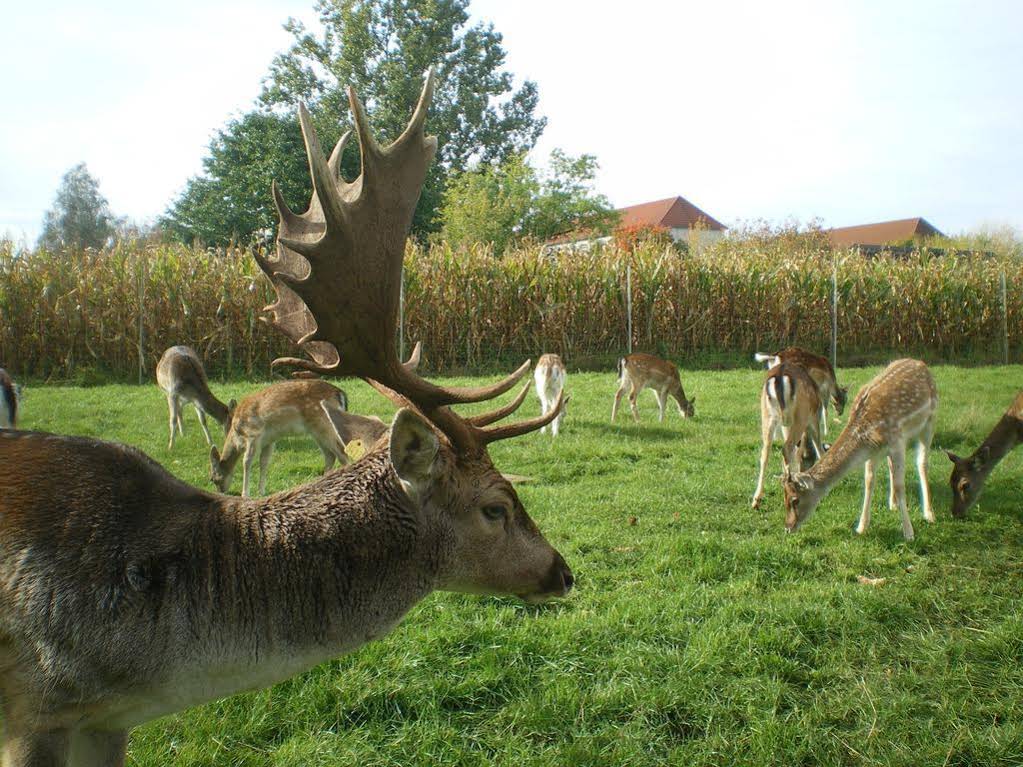 Märkischheide