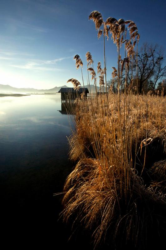 Zum Fischer am See
