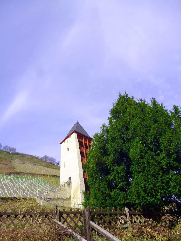 Gelber Hof