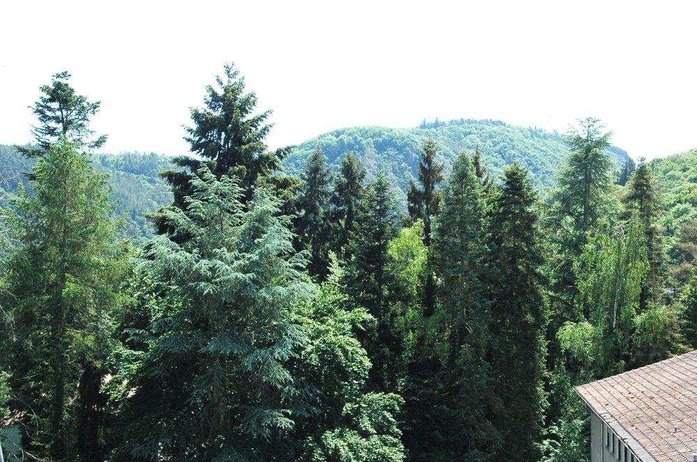 Hotel Engel im Salinental