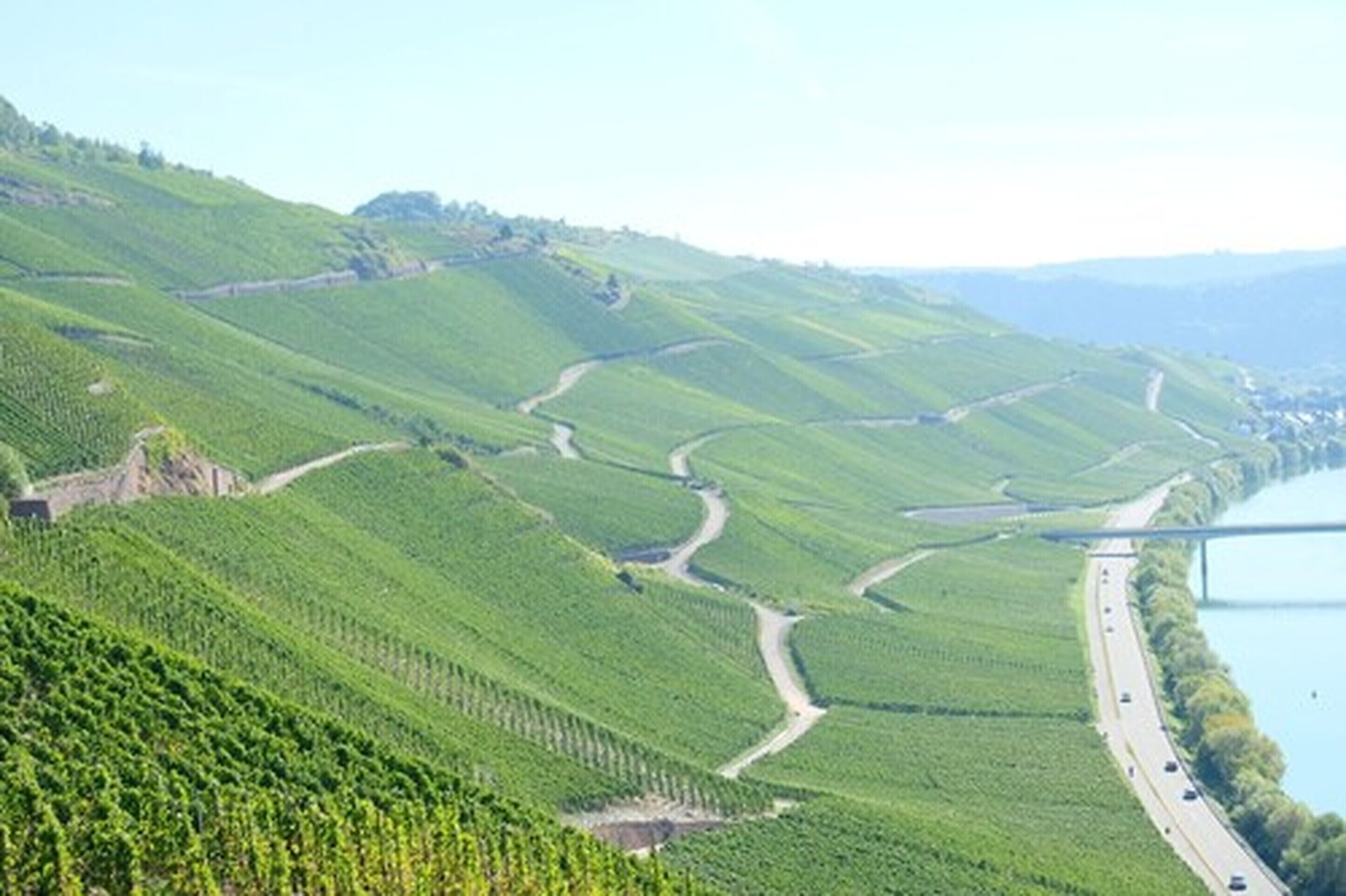 Weingut & Gstehaus Kaufmann-Schneider