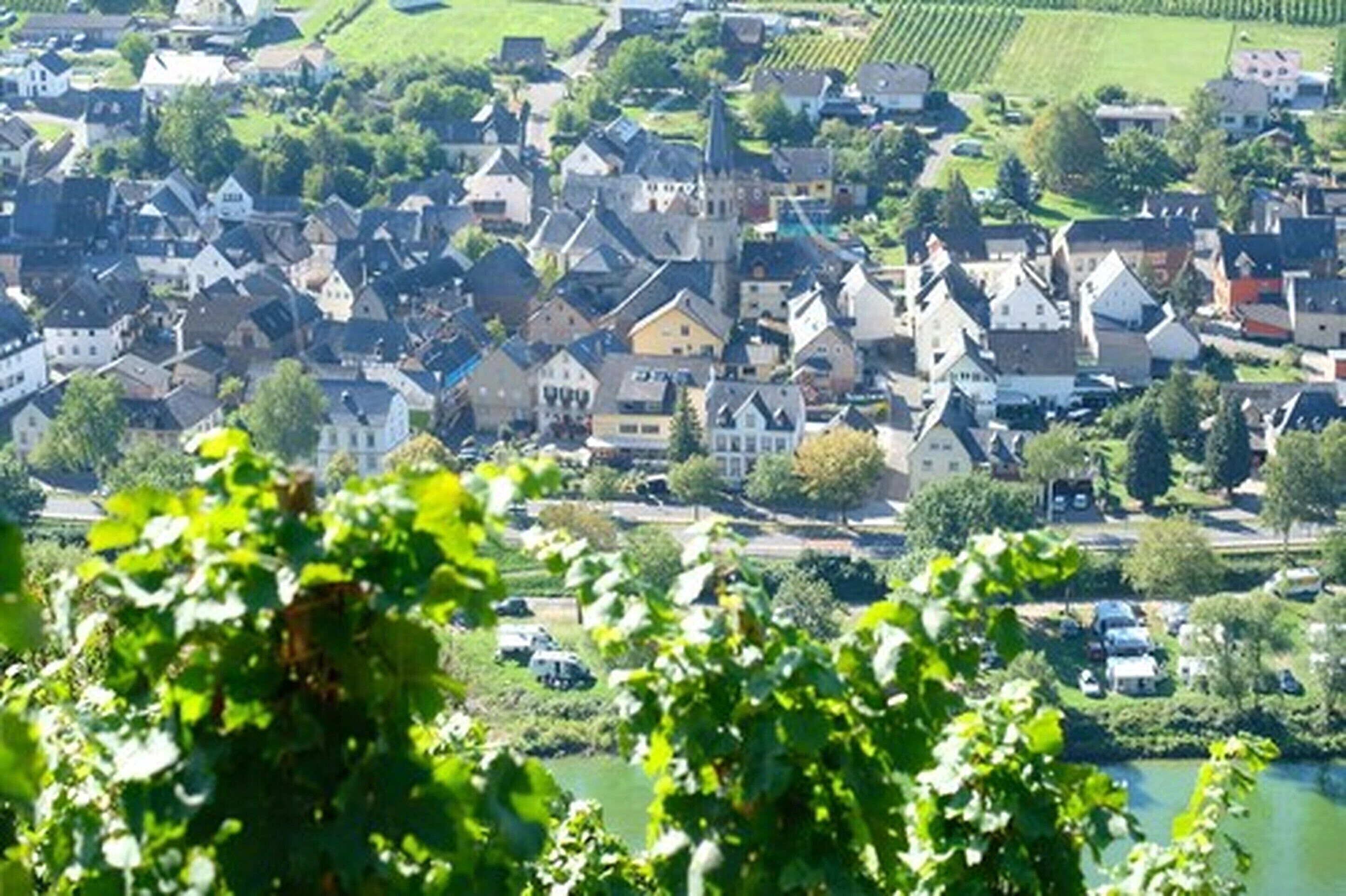 Weingut & Gstehaus Kaufmann-Schneider