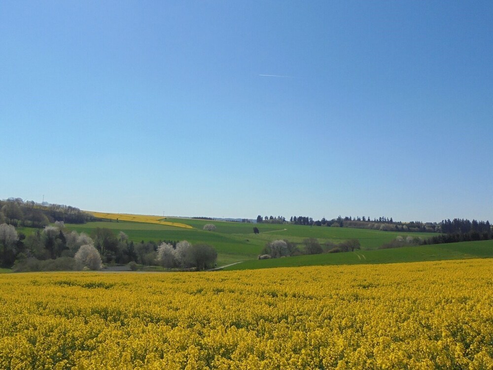 Ferien Im Hunsrück