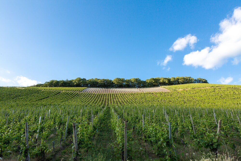 Weinhotel Ayler Kupp