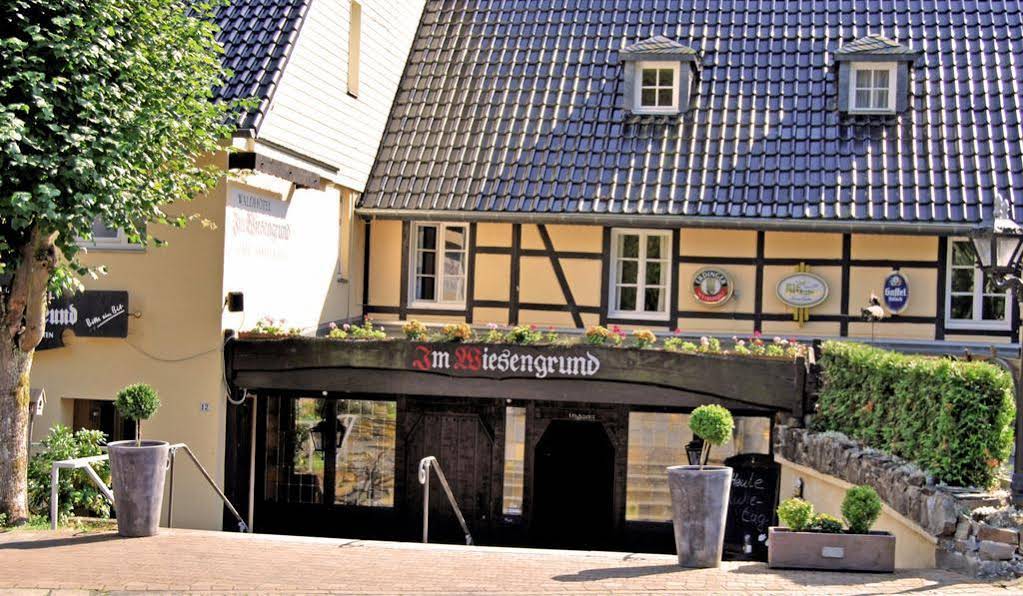 Waldhotel im Wiesengrund