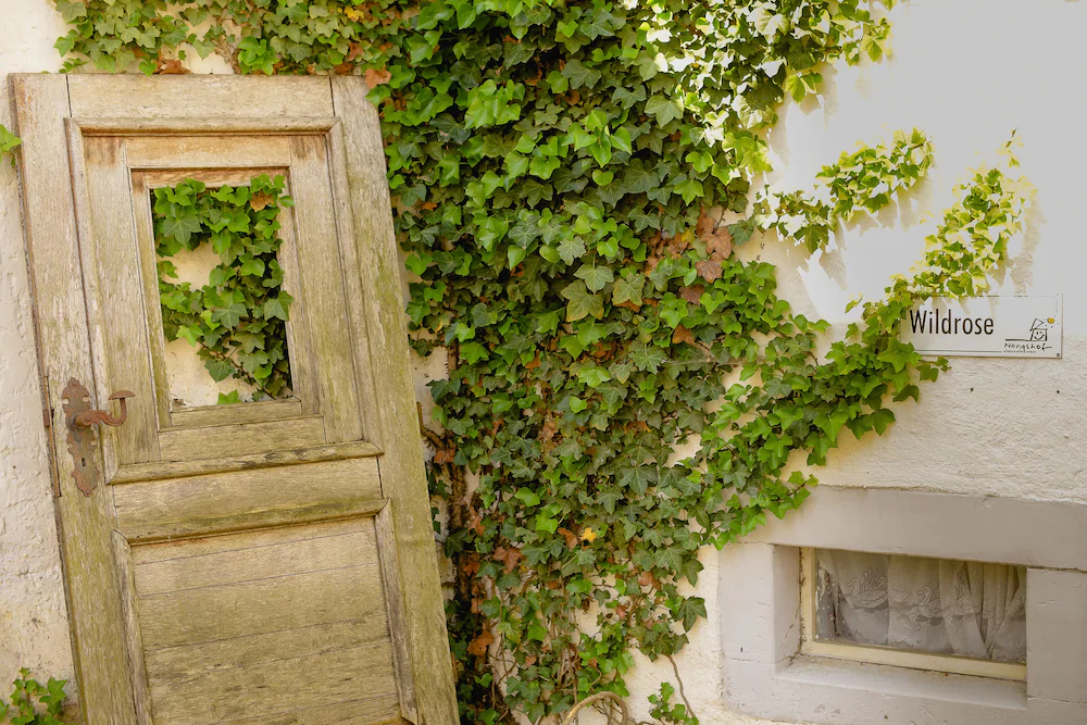 Nengshof-Haus Ehrenpreis