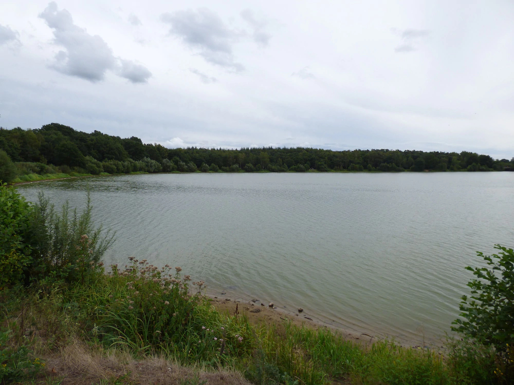 SeeblickHotel Haseluenne