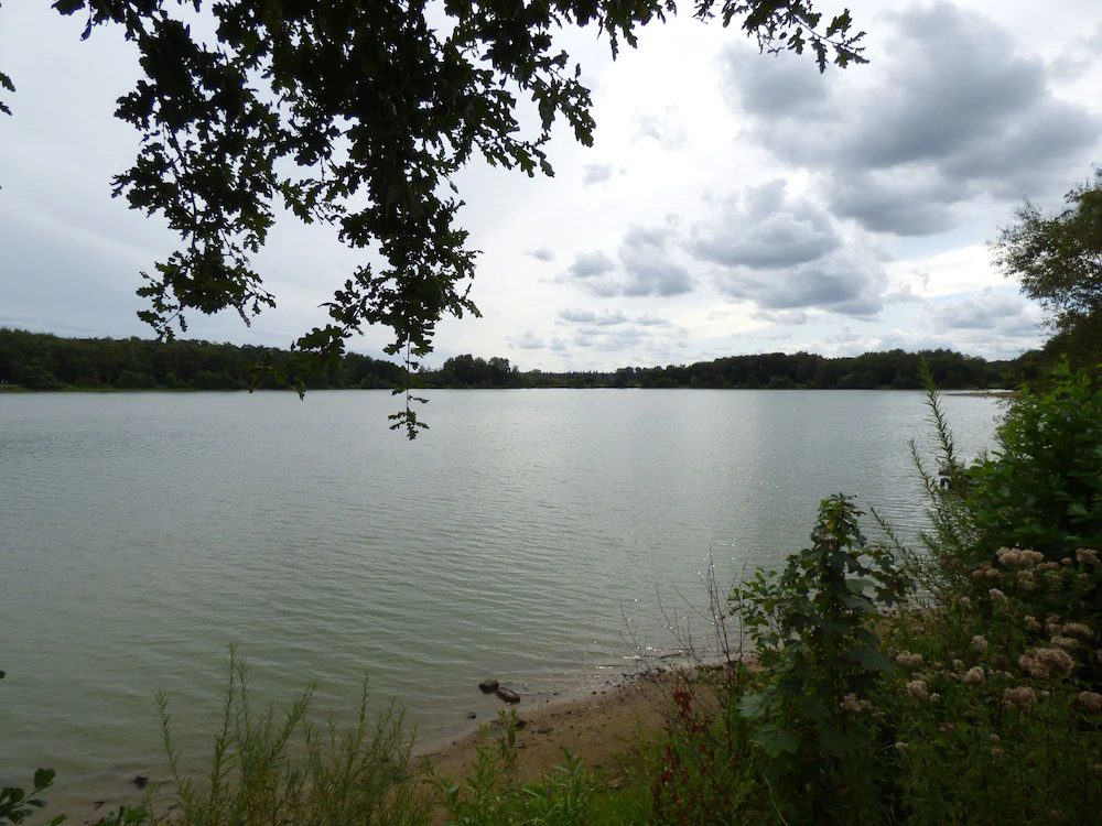 SeeblickHotel Haseluenne