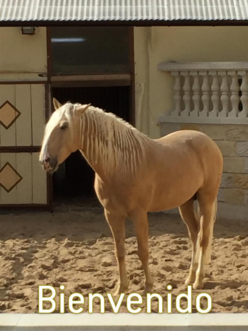 Wilsmann Apartmentvermietung