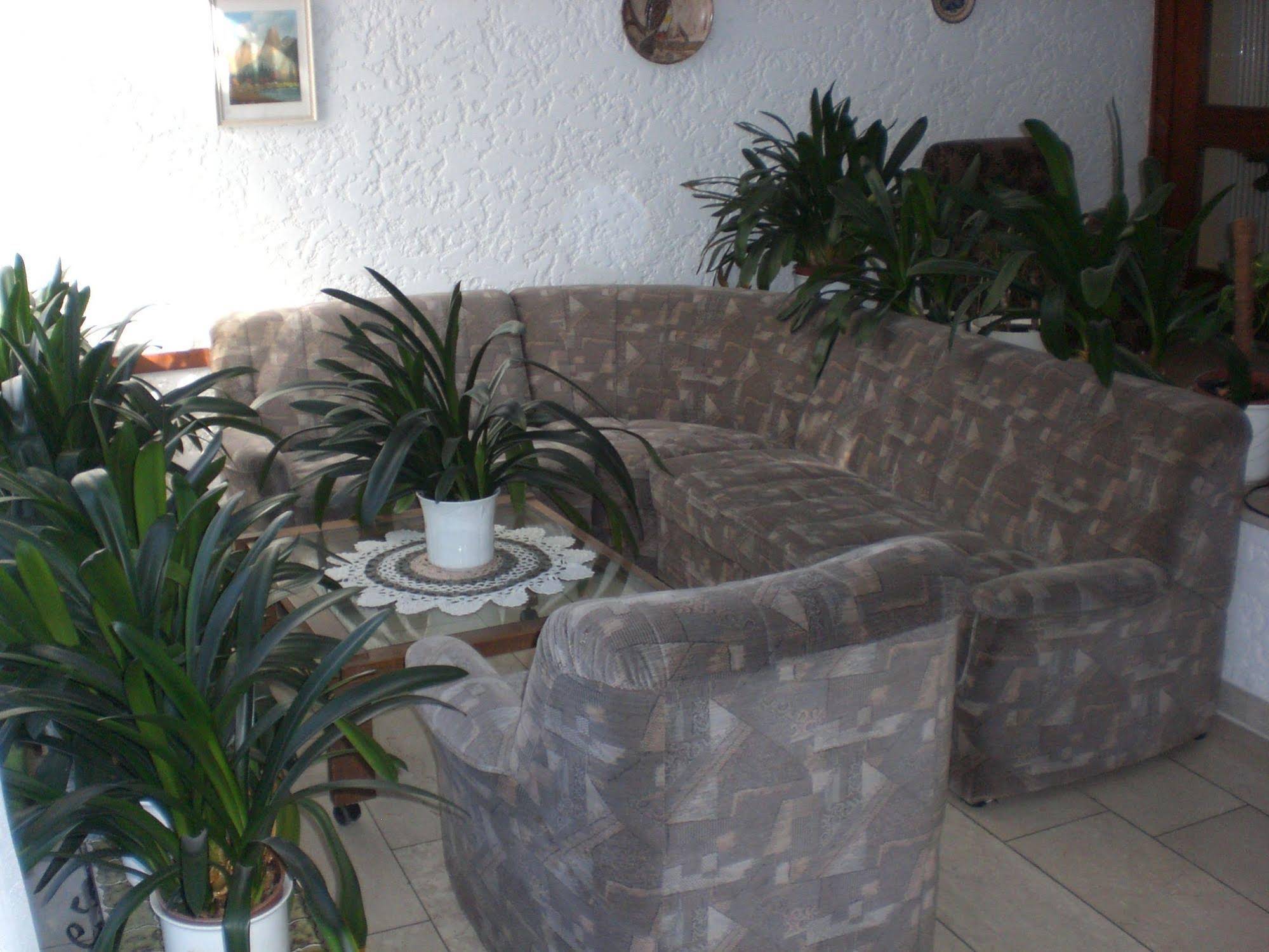 Hotel Pension Blüchersruh