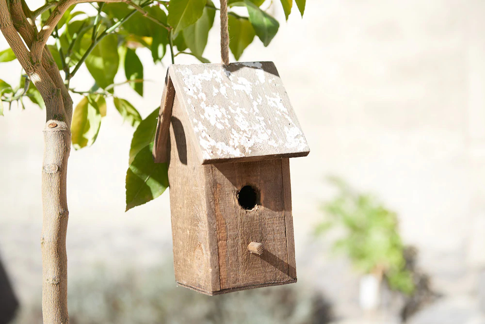 Ferienhaus Lemon Tree