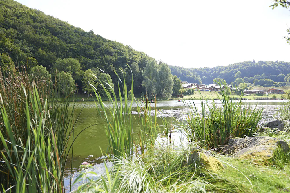 Ferienhaus Lemon Tree