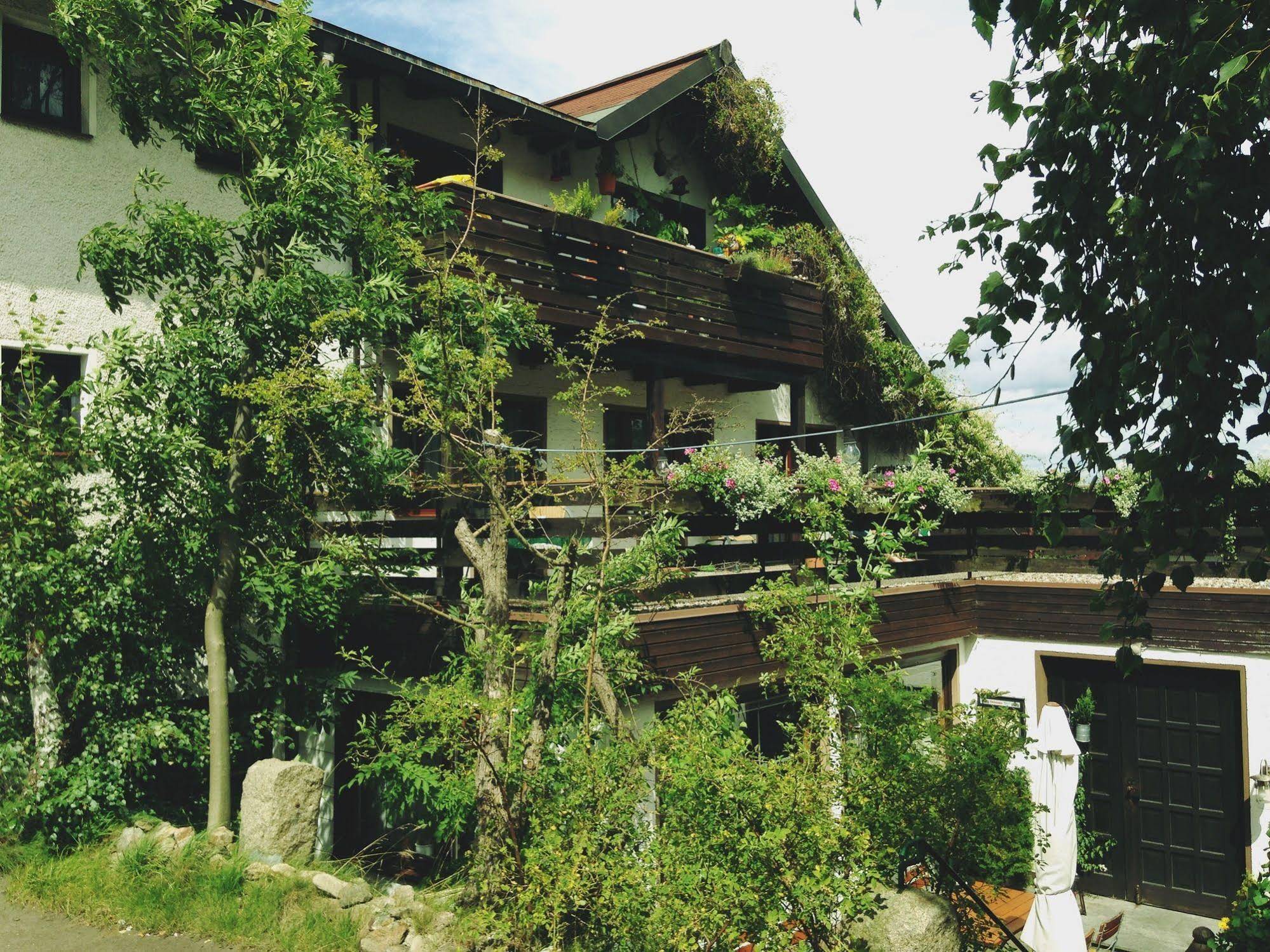 Schmankerl - Hotel Bauer