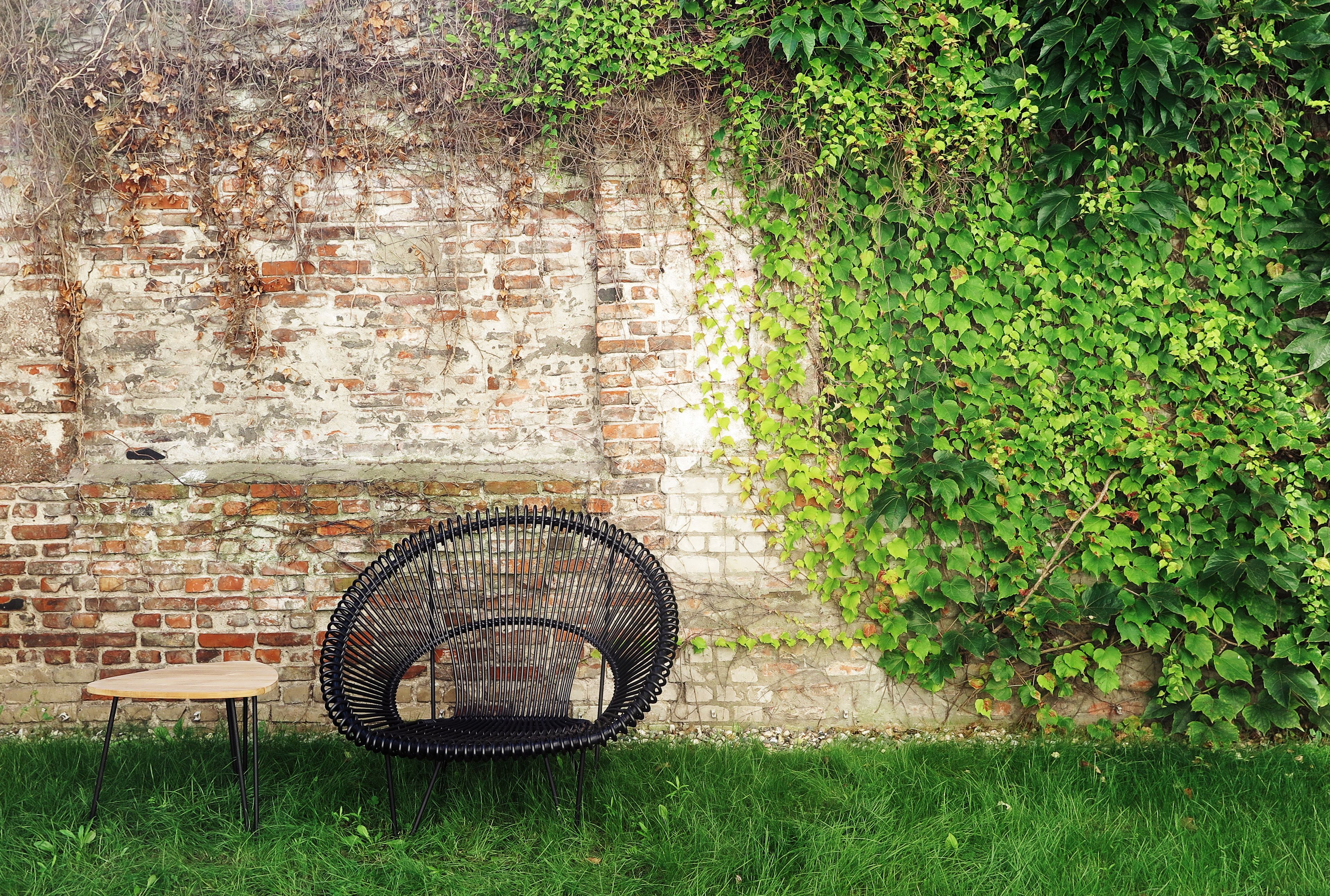 August The Boardinghouse