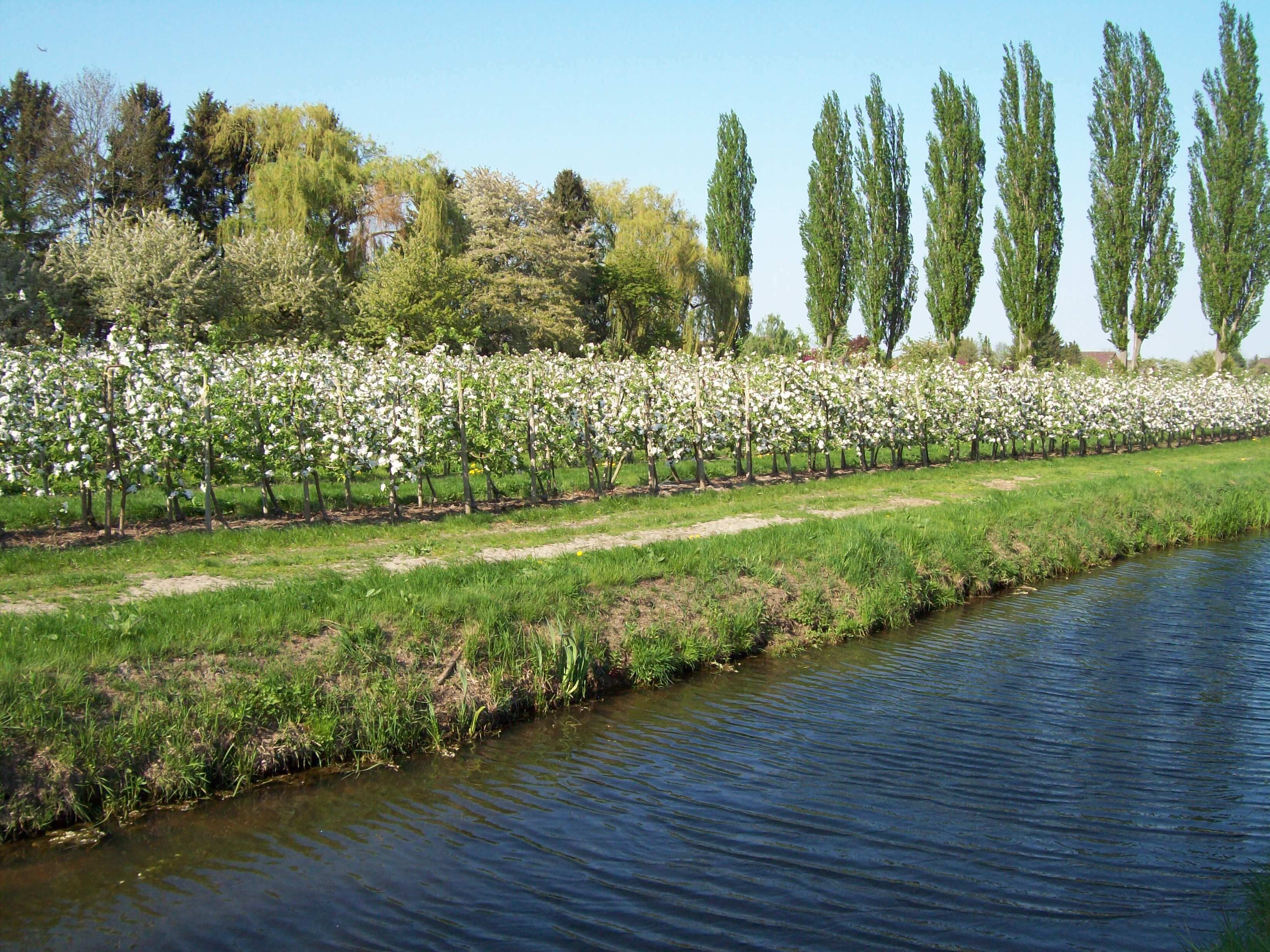 Bundt's Gartenrestaurant
