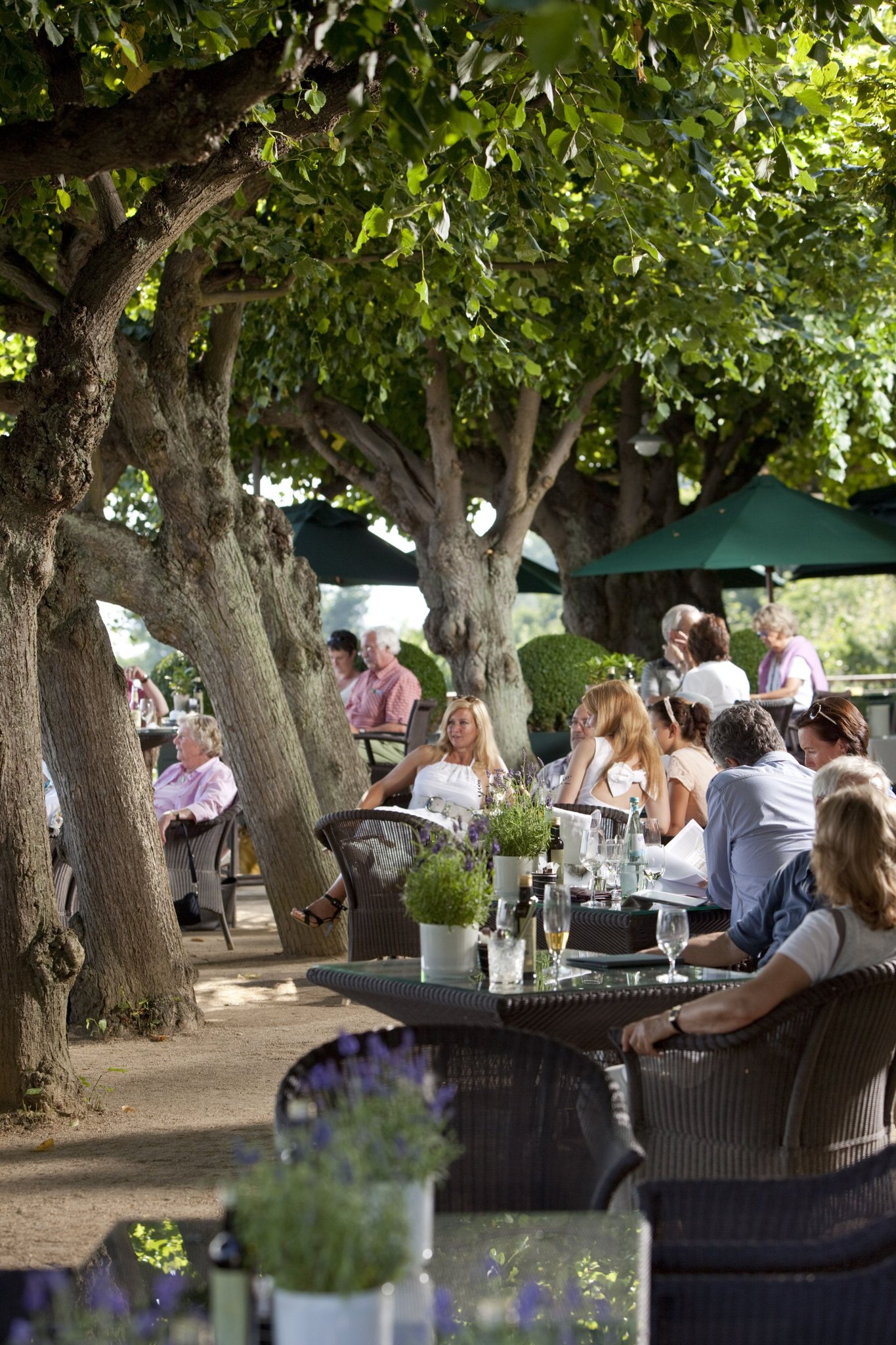 Hotel Louis C. Jacob