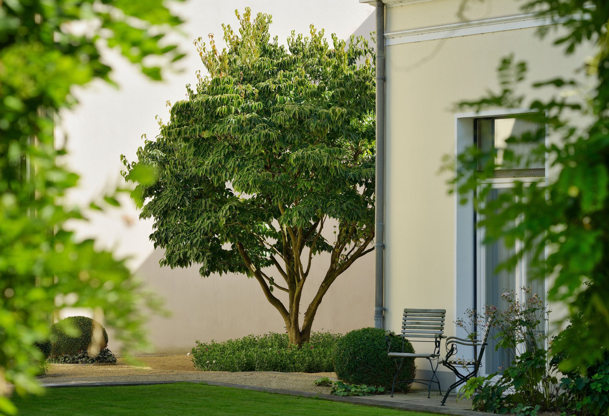 Hotel Louis C. Jacob