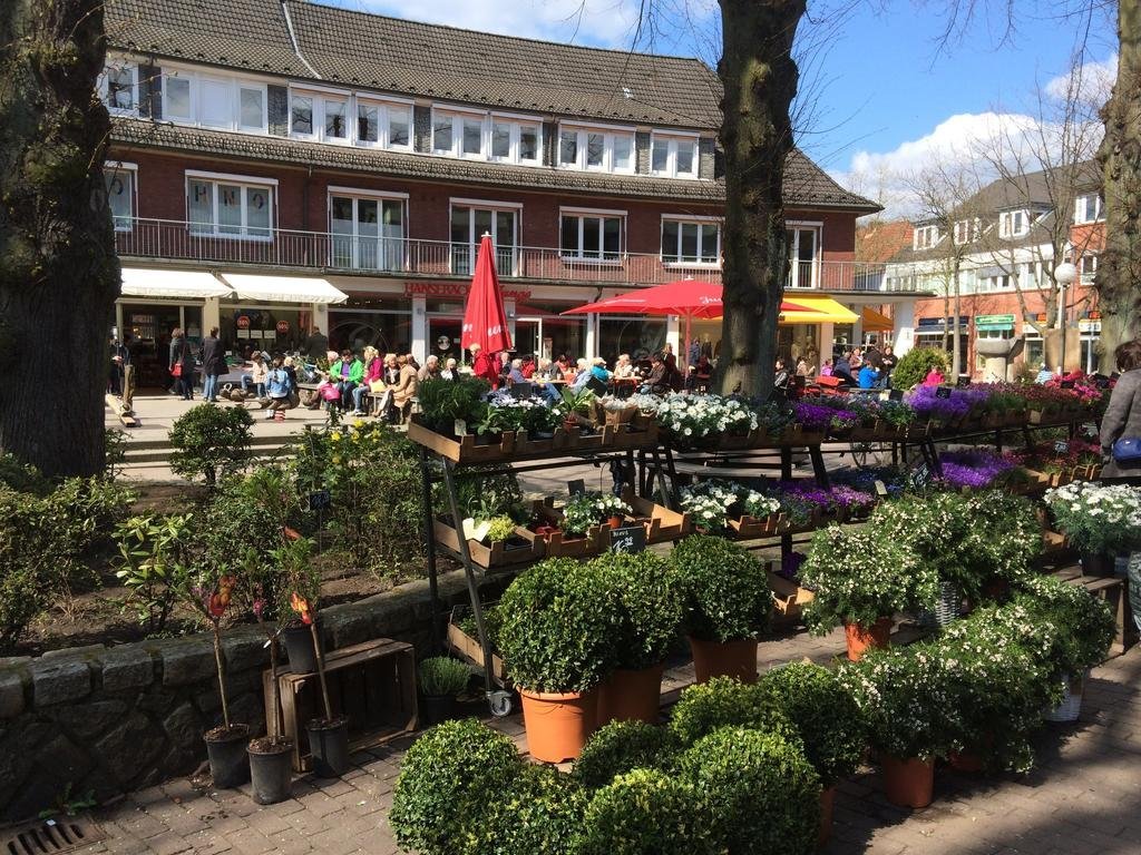 My Brand Boardinghouse