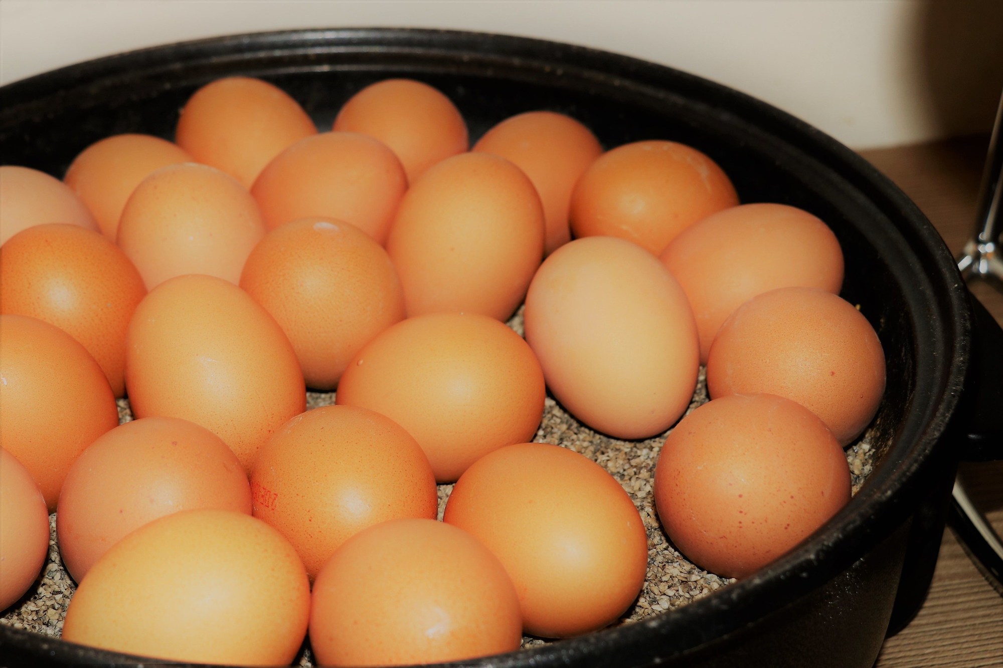 Holiday Inn - the niu, Fusion Hamburg St. Georg