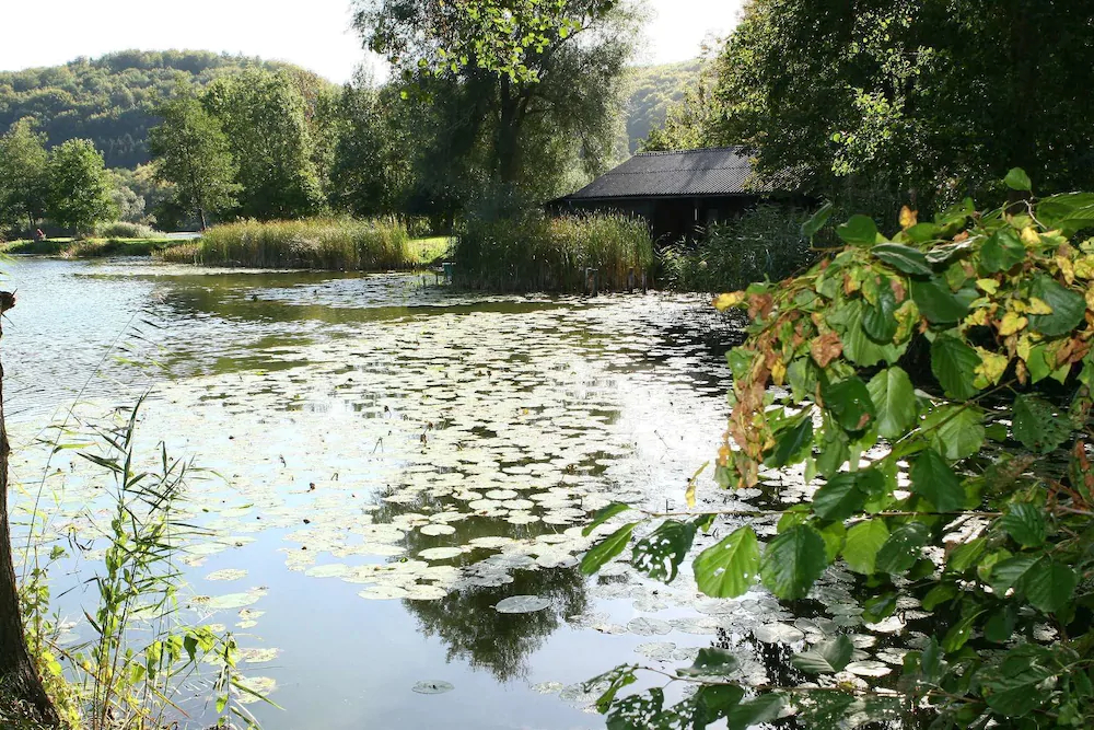 Haus Am Söderwald