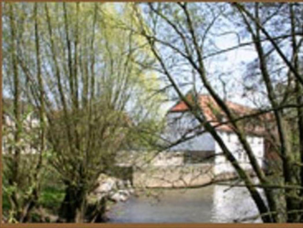 Brauhaus Wiesenmühle