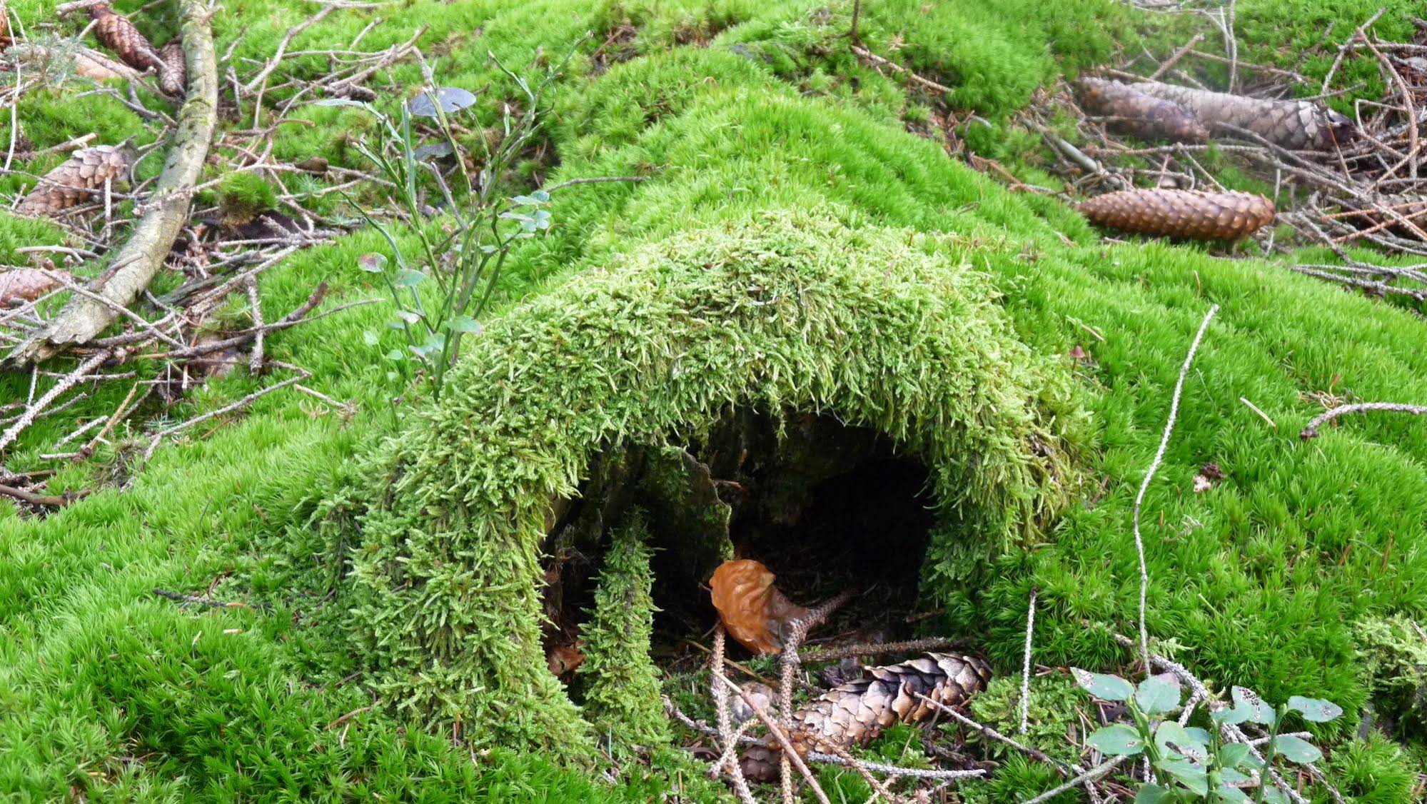 Ringhotel Siegfriedbrunnen