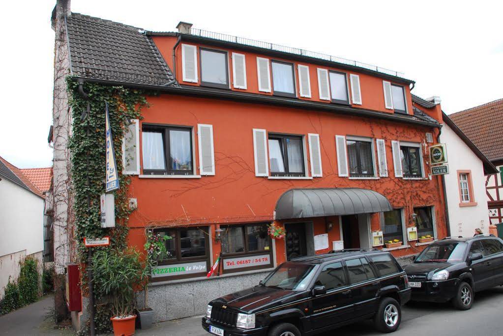 Hotel Lauer