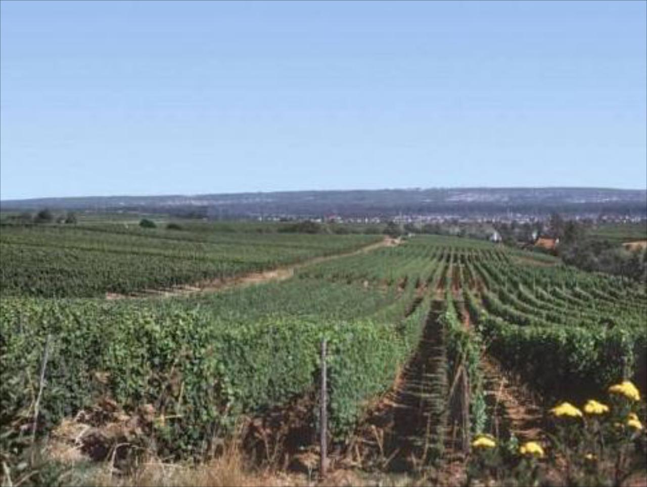 Kuehns Muehle Pension