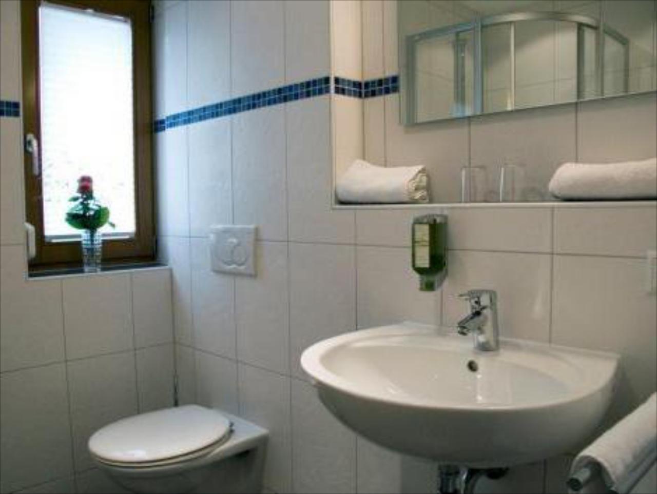 Hotel Schweizerblick