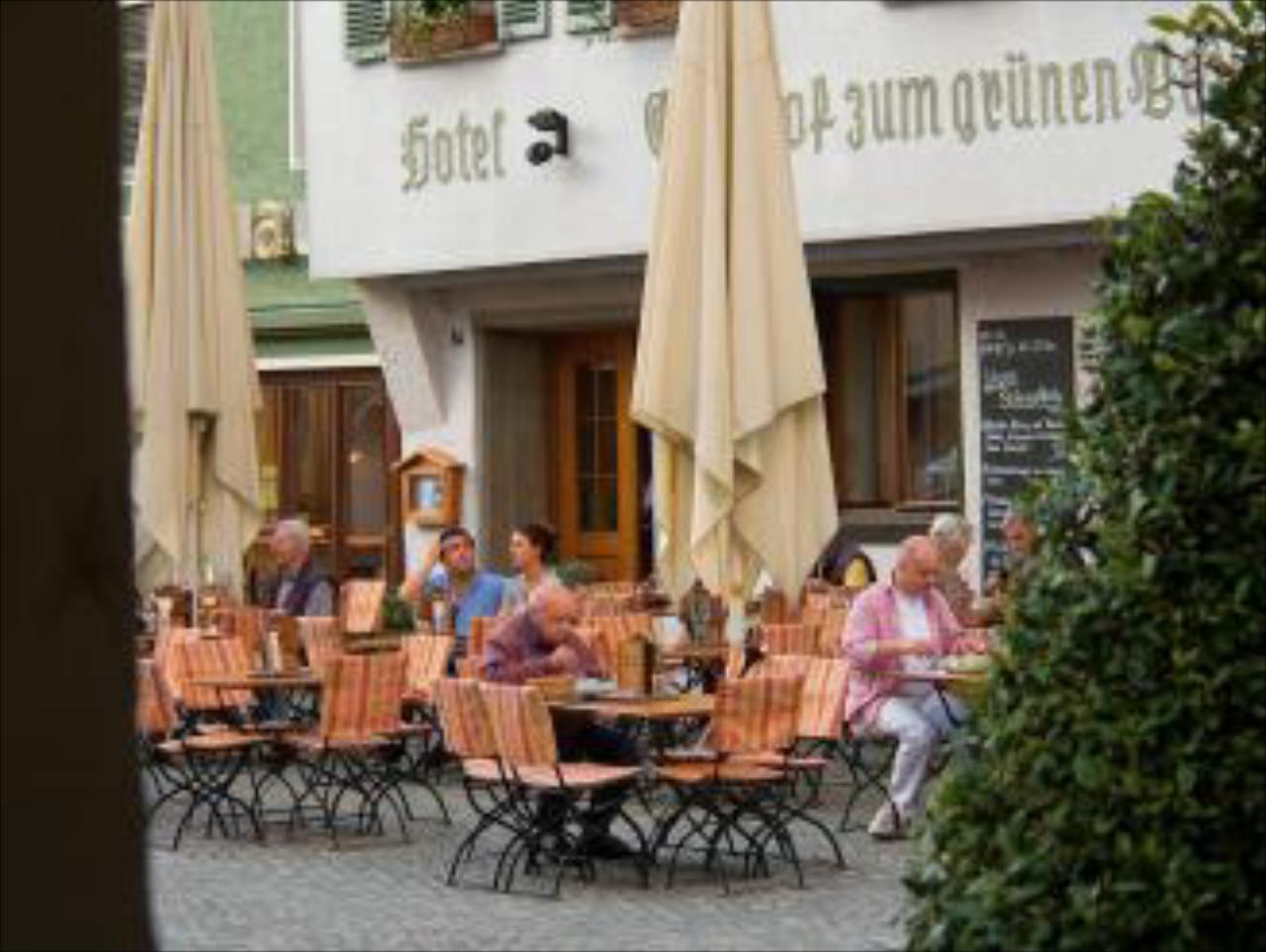 Grüner Baum