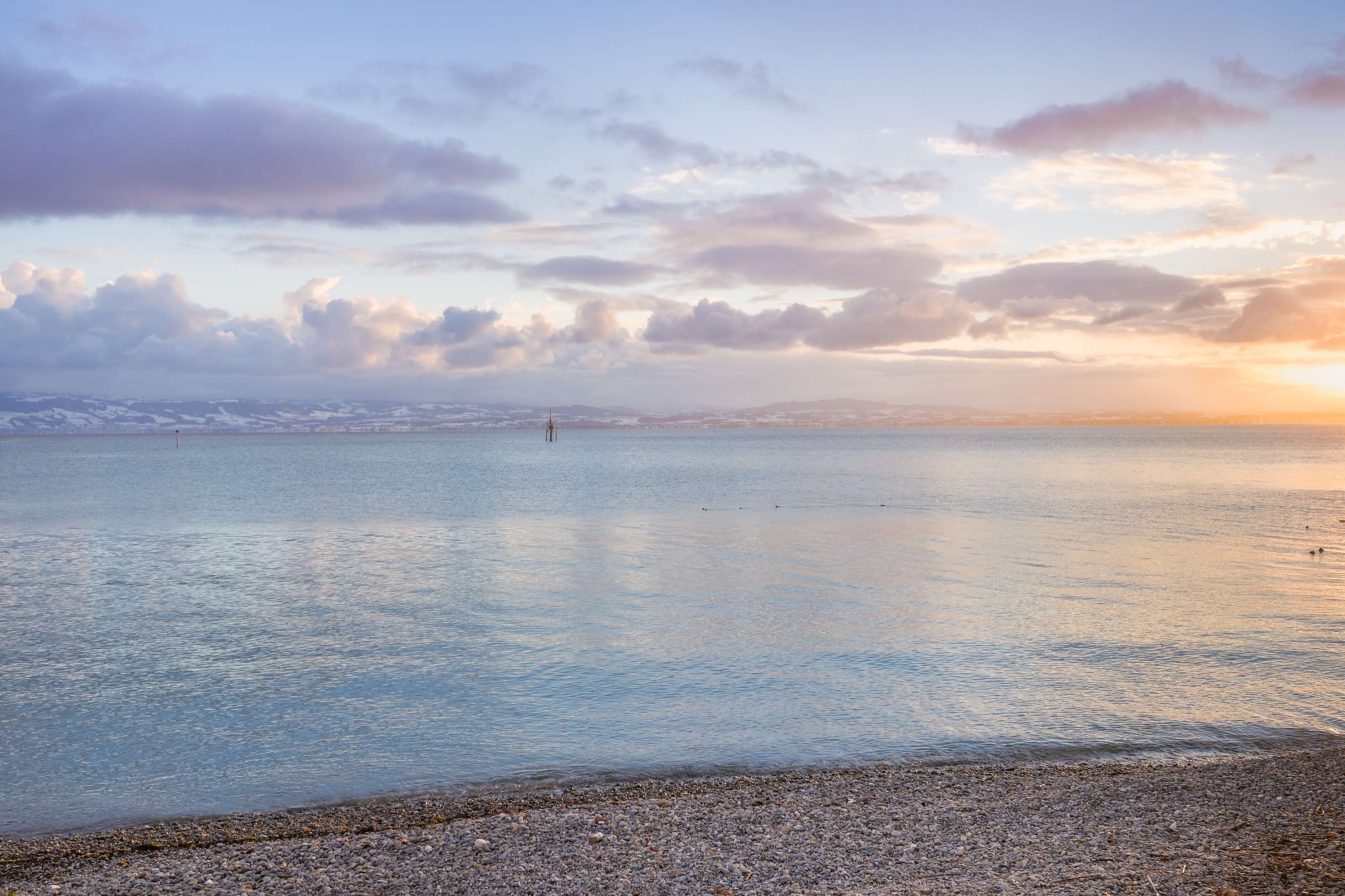 Select Hotel Friedrichshafen