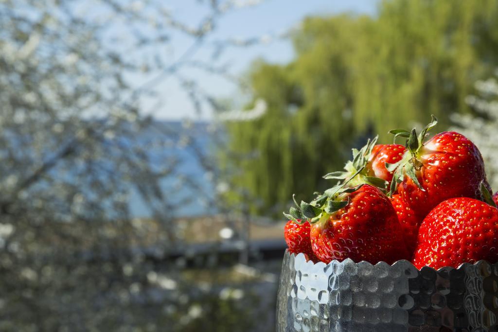 Hotel Pilgerhof und Rebmannshof