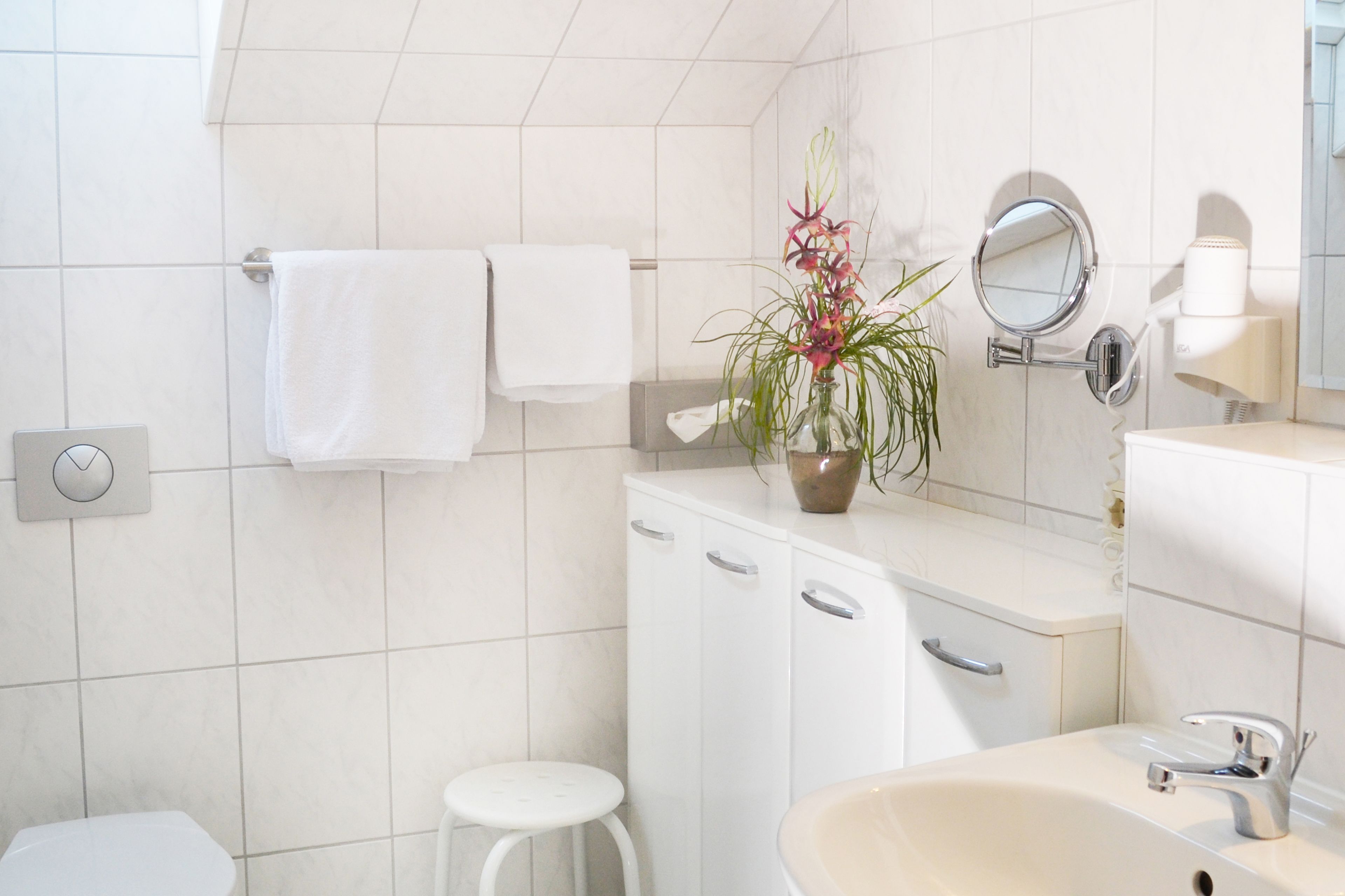 Forest Apartments & Rooms