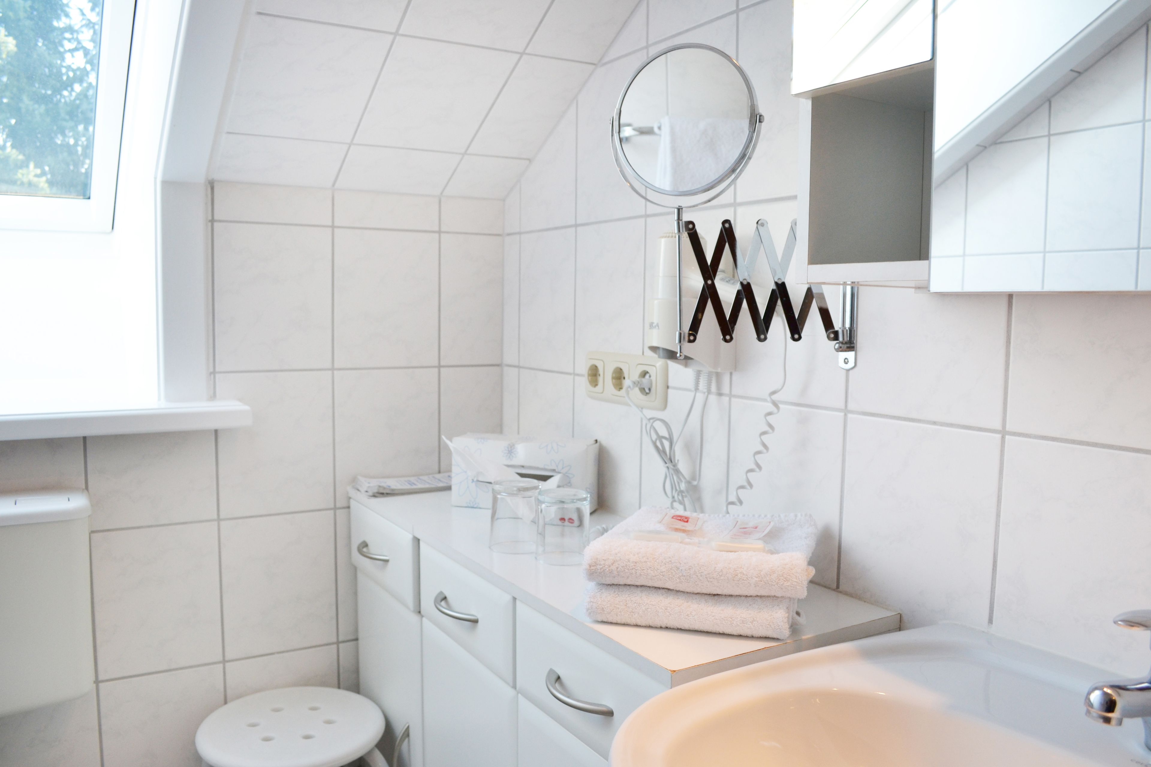 Forest Apartments & Rooms