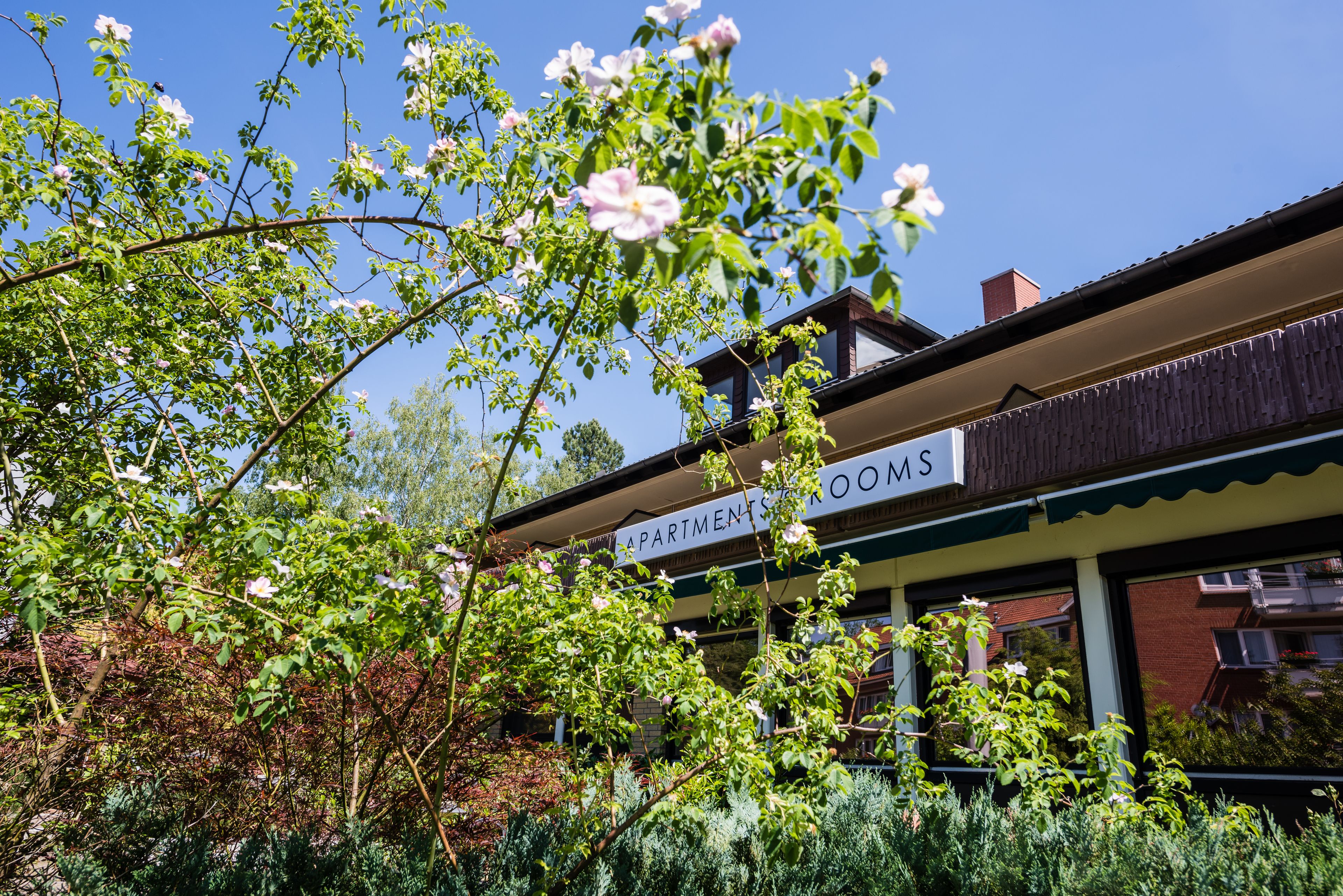 Forest Apartments & Rooms