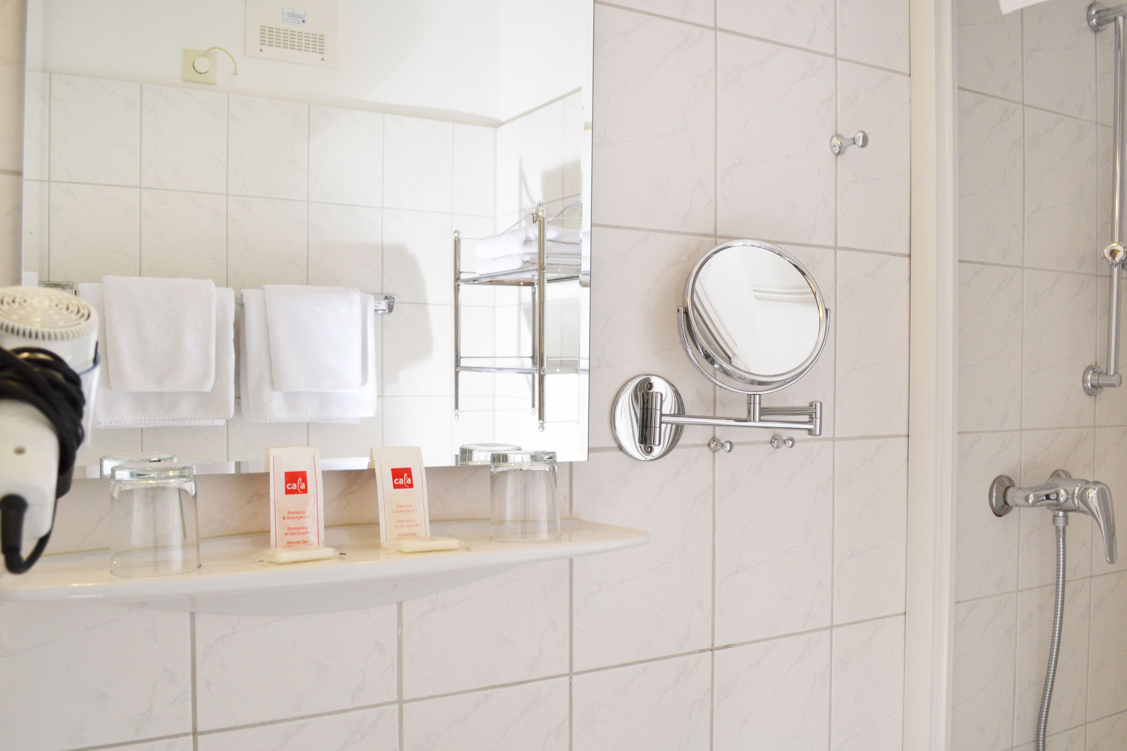 Forest Apartments & Rooms