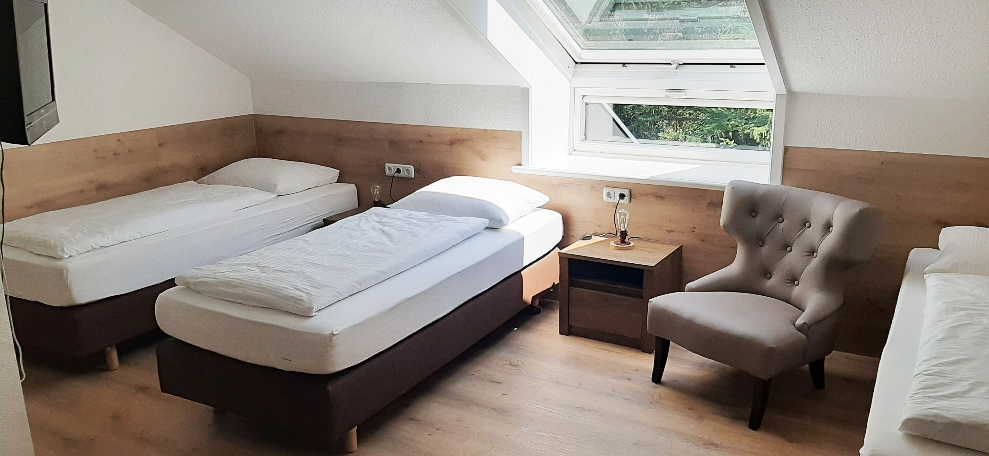 Forest Apartments & Rooms