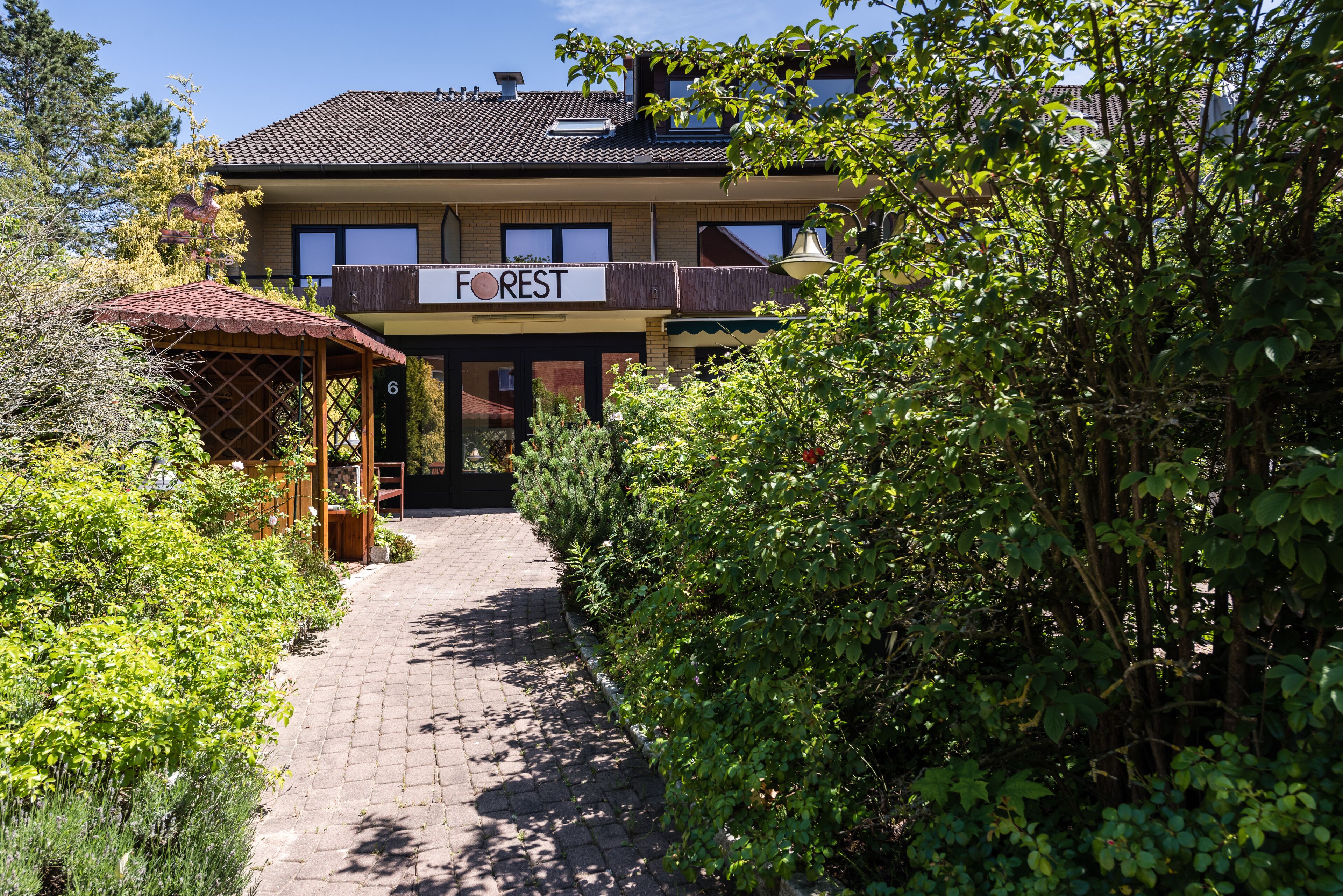 Forest Apartments & Rooms