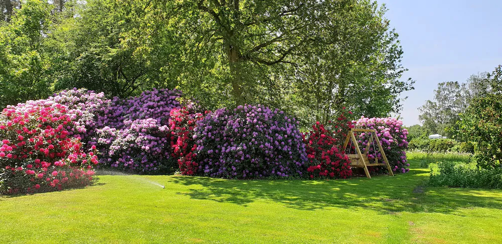 Ferienwohnungen Tewes