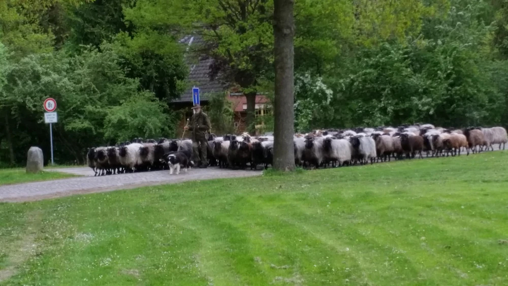 Ferienwohnungen Tewes