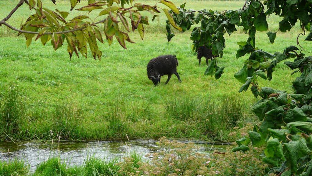 Hotel Im Wiesengrund