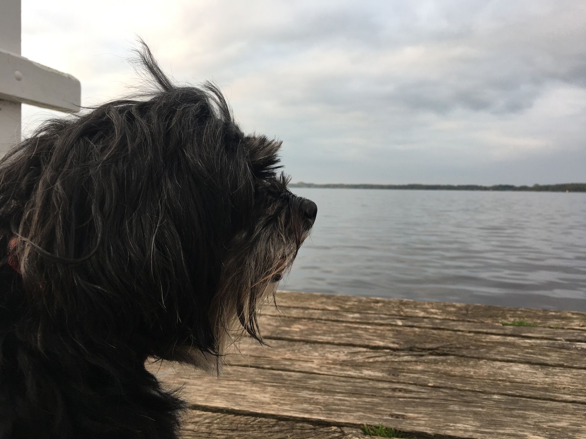 Haus am Meer