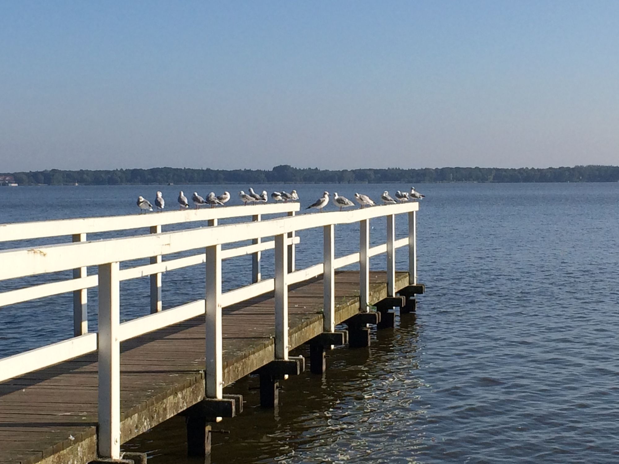 Haus am Meer