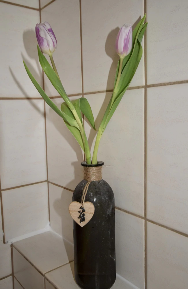 Ferienwohnung Kleine Auszeit