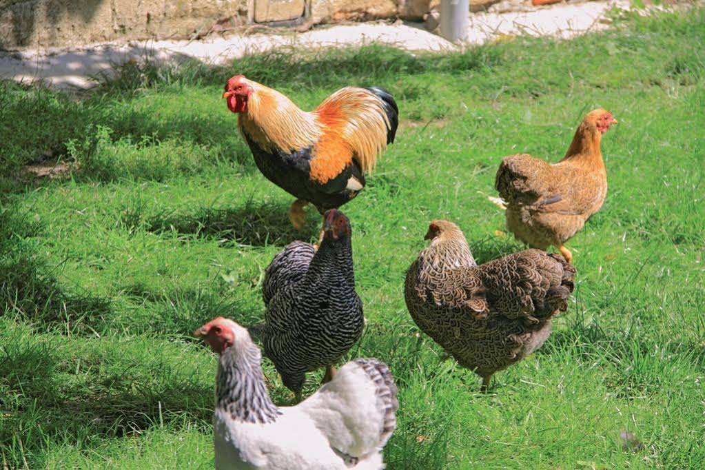 Landgasthaus Zur Eiche