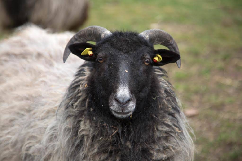 Landgasthaus Zur Eiche