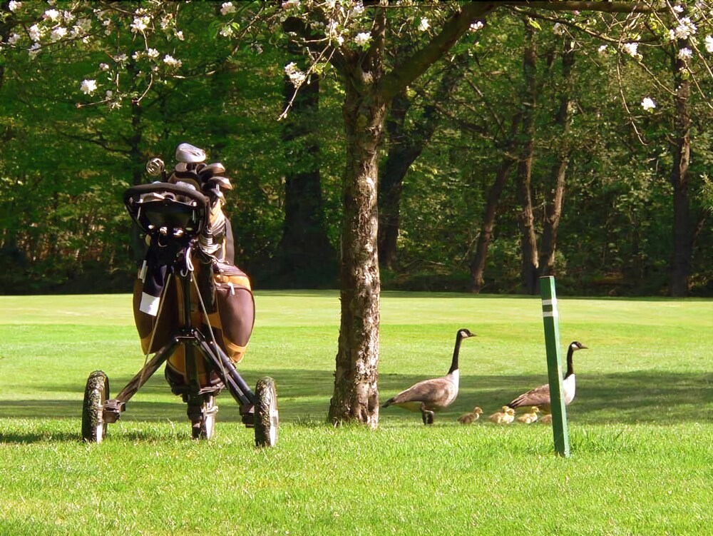 Romantik Hotel Walhalla